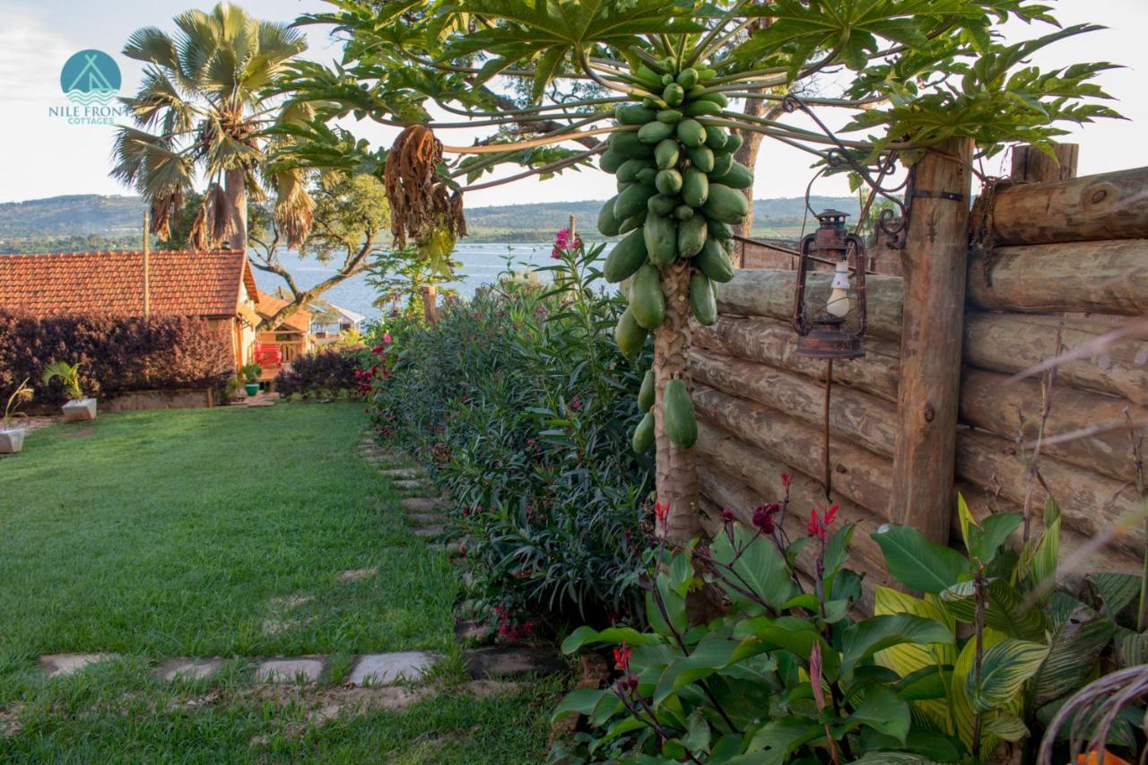 Nile Front Cottages Jinja Exterior photo